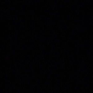 Meet your Posher, Zoe